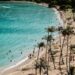 group of people on beach surrounded by green leafed trees