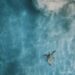 aerial photo of sea turtle in body of calm water